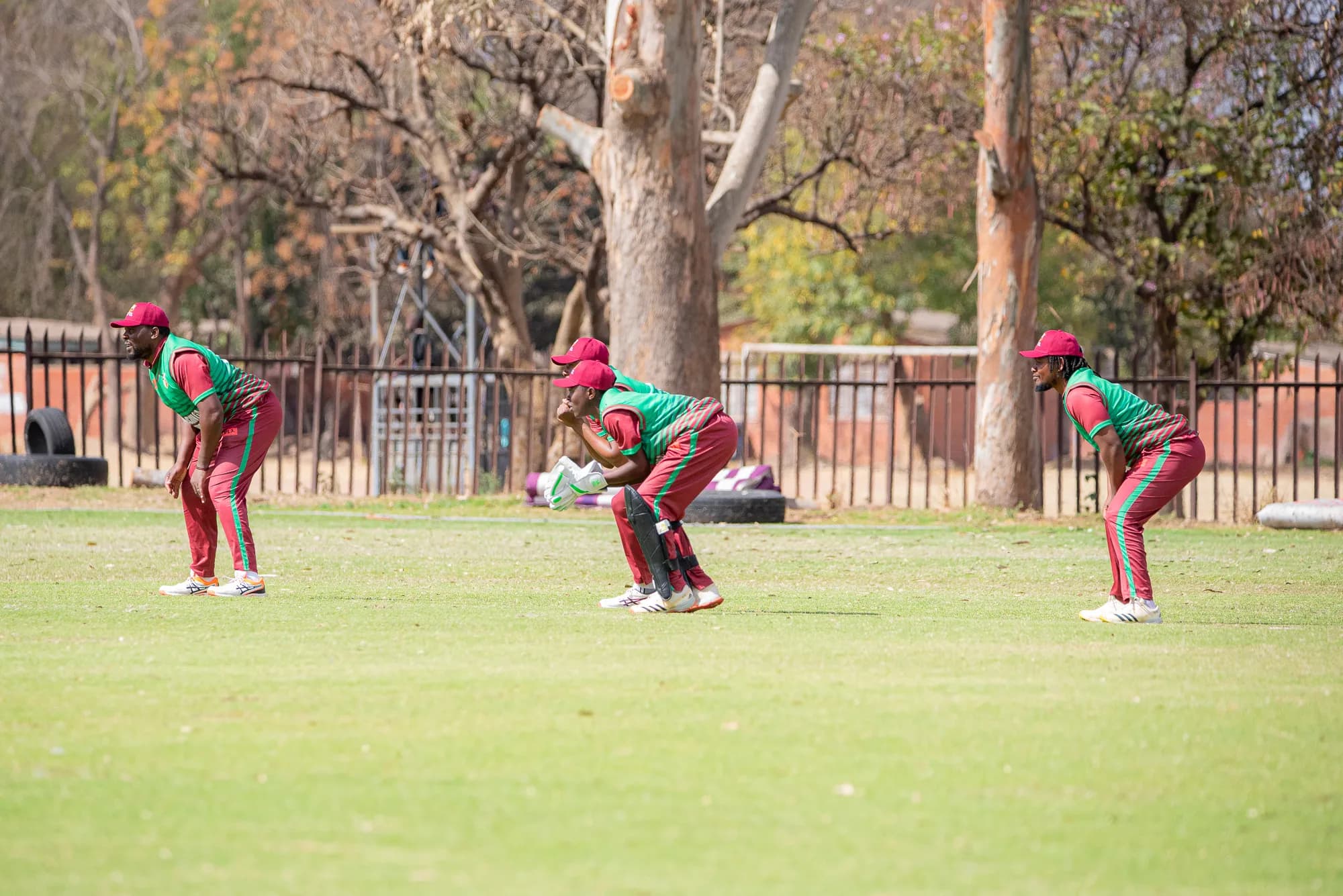 Takashinga gallery image