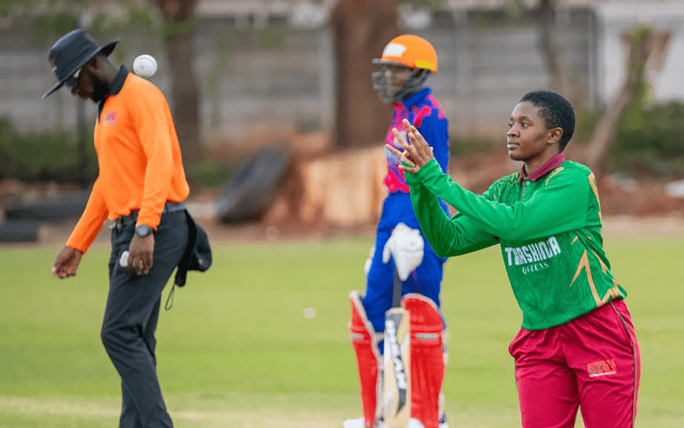 Takaz Queens Tame White Rhinos